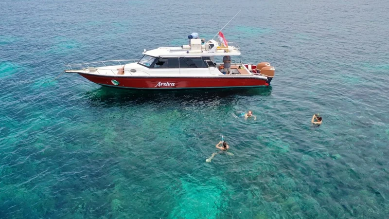 Sewa Speedboat Komodo Arsiva Snorkeling