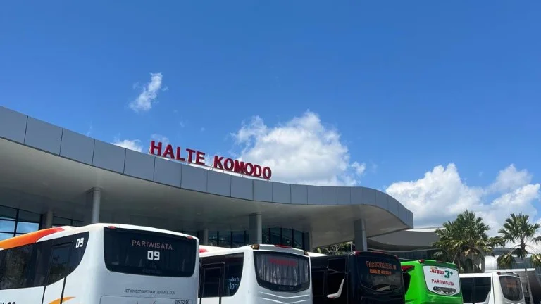 Sewa Bus Labuan Bajo Komodo