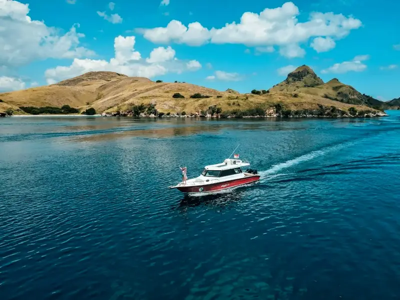 Tur Komodo Speedboat Premium 1 Hari TransBajo